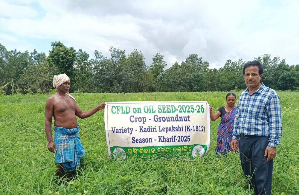 CFLD : OILSEED & PULSES