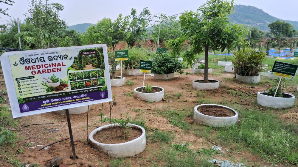 FARM & DEMO UNITS